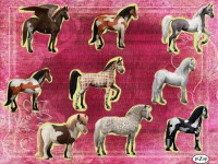 /album/galleria-fotografica/pizap-com10-26896784873679281331385256709-jpg/