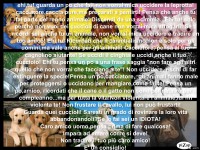 /album/galleria-fotografica/pizap-com10-48873200593516231331319442140-jpg/