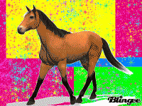 /album/galleria-fotografica/a761178981-466576-gif/