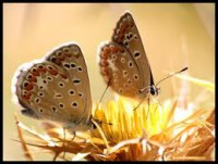 /album/galleria-fotografica/imagesf-jpg/