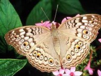 /album/galleria-fotografica/imagesffffrfffff-jpg/