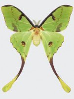 /album/galleria-fotografica/imagesverda-jpg/