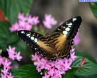 /album/galleria-fotografica/imagesvvvv-jpg/