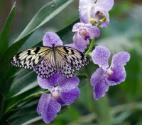 /album/galleria-fotografica/imagesvvvvvvvvvvv-jpg/