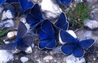 /album/galleria-fotografica/indexvvv-jpg/