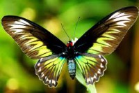 /album/galleria-fotografica/indexvvvvvvvvvvvvvvvvvvvvvvvvvv-jpg/