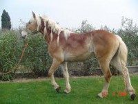 /album/galleria-fotografica/j-jpg/