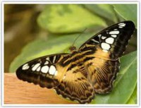 /album/galleria-fotografica/ff-jpg/