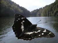 /album/galleria-fotografica/images-jpg/